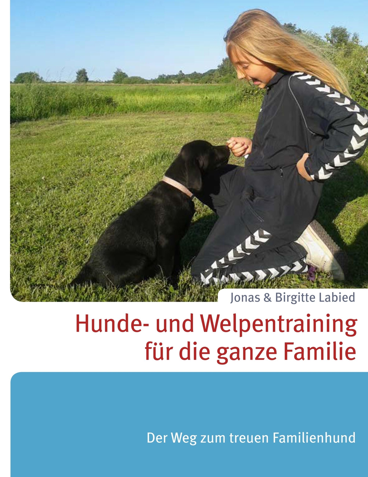 Thumbnail - Hunde- Und Welpentraining Für Die Ganze Familie | Buch | 9788743017059