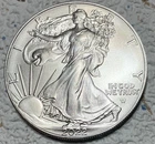 2022 American Silver Eagle - BU