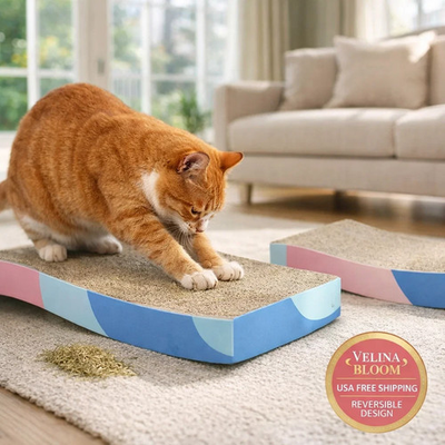 #ad Cat Scratch Pad Scratcher Cardboard with Catnip Reversible Scratcher Pads 2 Pcs $13.99
