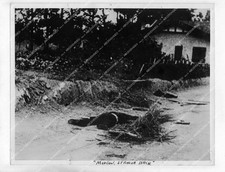 o63810 1942 orig WWII dead Soviet soldiers in wake Nazi rampage documentary film