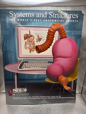 Diseases and Disorders the World s Best Anatomical Charts Book D2
