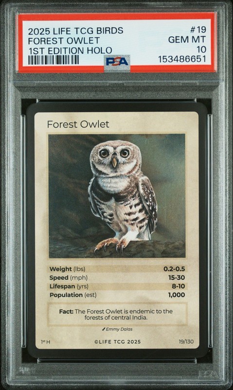 FOREST OWLET 2025 LIFE TCG BIRDS 1ST EDITION HOLO #19 /10000 PSA 10 POP 1