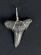 SHARK TOOTH PENDANT… 1 inch LEMON SHARK Tooth from Venice Florida 