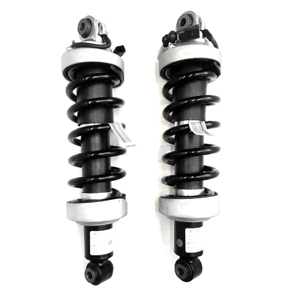 2X Rear Left Right Shock Absorber Strut MagneRide For Audi R8 V8 V10 2007-2015