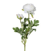 Kunstblume Ranunkel, 6Er Set, Farbe Weiß, HöHe Ca. 40 Cm
