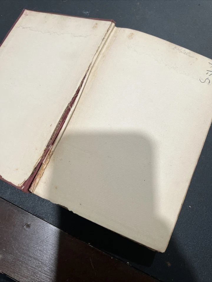 SIR WALTER SCOTT by James Hay - 1899 - Biography - Literature - Image 3 of 4