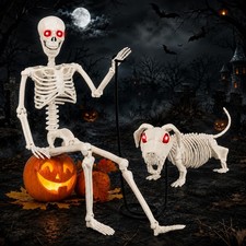 36'' Halloween Skeleton Decorations: 3FT Posable Skeleton with Dog Skeleton