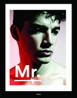 Mr. by Ferry van der Nat (Hardback, 2016)