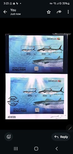 Emirati Arabi Uniti Emarati King Fish con FDC e souvenir Sheet Predator Fishi - Foto 2 di 2
