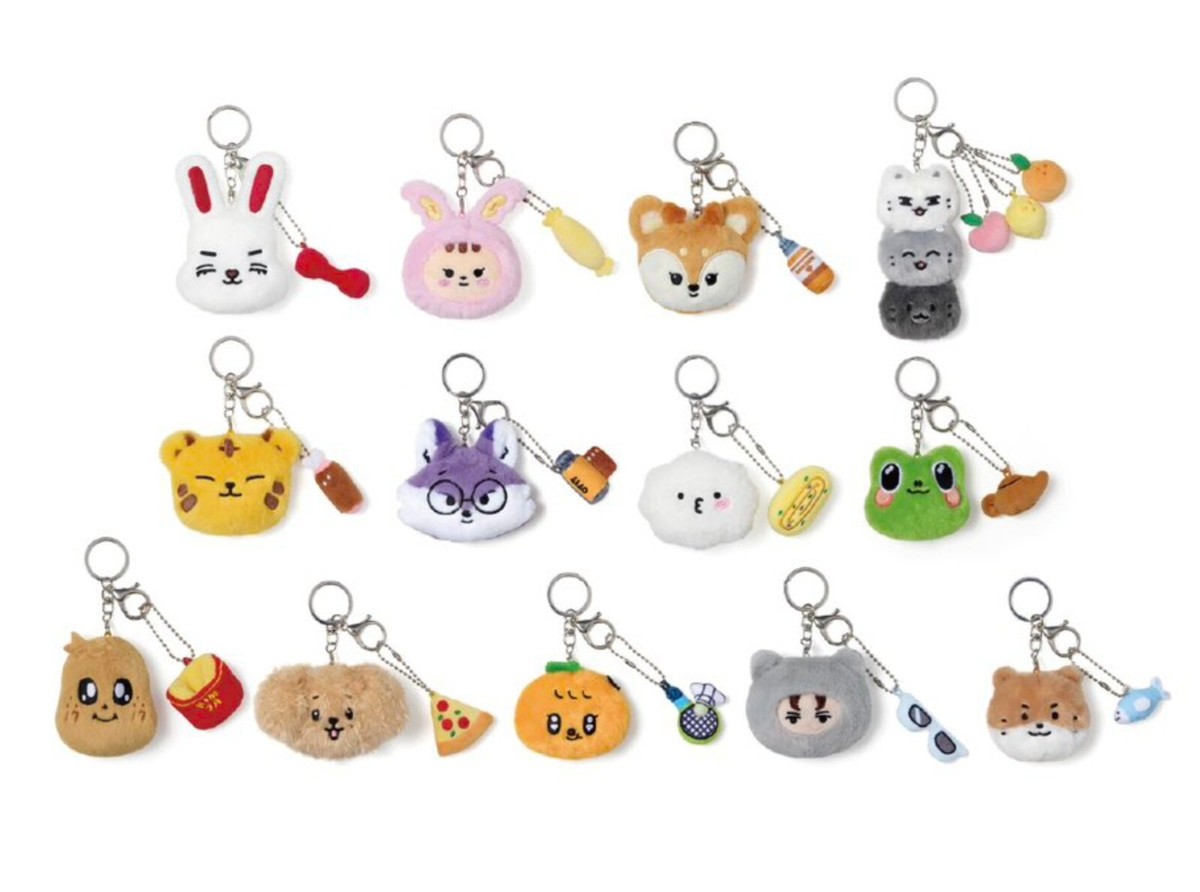 ウォヌ　MINITEEN HOUSE PARTY PLUSH KEYRING SEVENTEEN FACE plush keyring MINITEEN HOUSE PARTY SEVENTEEN