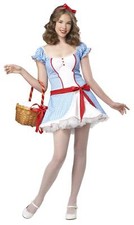 Wizard of Oz Dorothy Teen Girl Costume