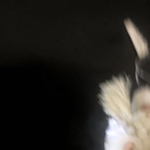 All in white Victorian Santa Figurine Christmas Ornament - Picture 12 of 13