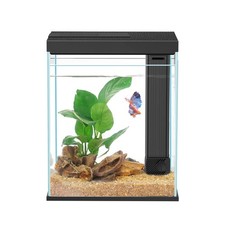 Betta Fish Tank, 2 Gallon Glass Aquarium Starter Kit, Small Fish Tank with Fi...