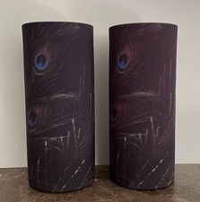 2 Gilles Caffier Paris 2010 Peacock Feather Neoprene Wrapped Stoneware Vase Sign