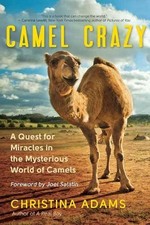 Camel Crazy - 9781608686483