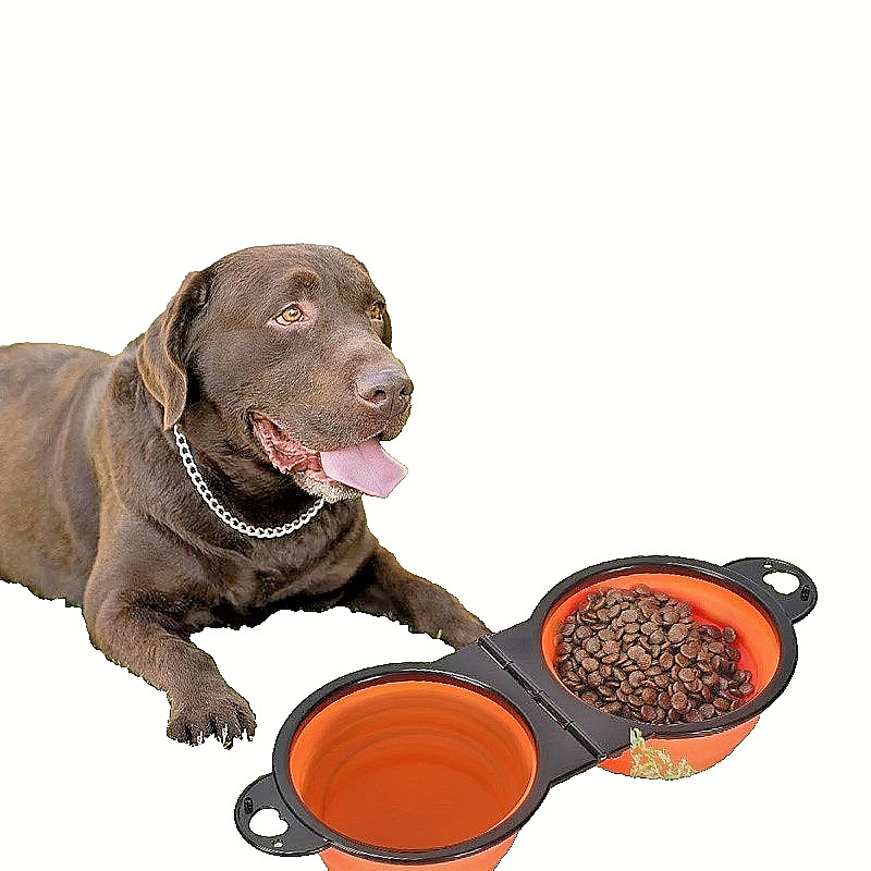 Gamelle double pliable pour chien voyage accessoire silicone portable