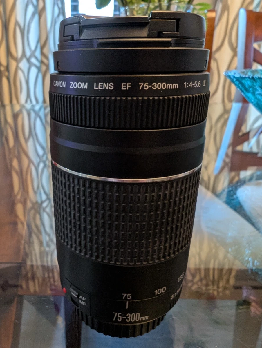 Canon EF 75-300mm Focal Camera Lenses for sale | eBay