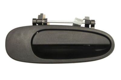 BLIC 6010-19-002404P Door Handle