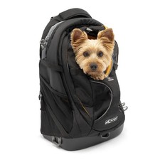 Kurgo G-Train Dog Carrier Backpack - Comfortable Travel Bag for Pets Up to 25...