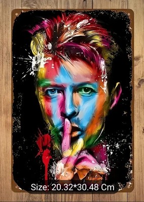 DAVID BOWIE Blechschild Mancave Schuppen Garage Retro Bar Dekor Ziggy Stardust 