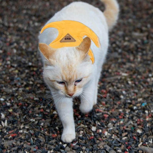 Soft Cat Harness and Leash Set Escape Proof Vest Harnesses for Cats Yellow L - Picture 6 of 6
