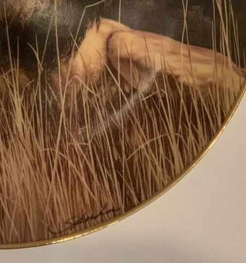 Picture 2 of 4