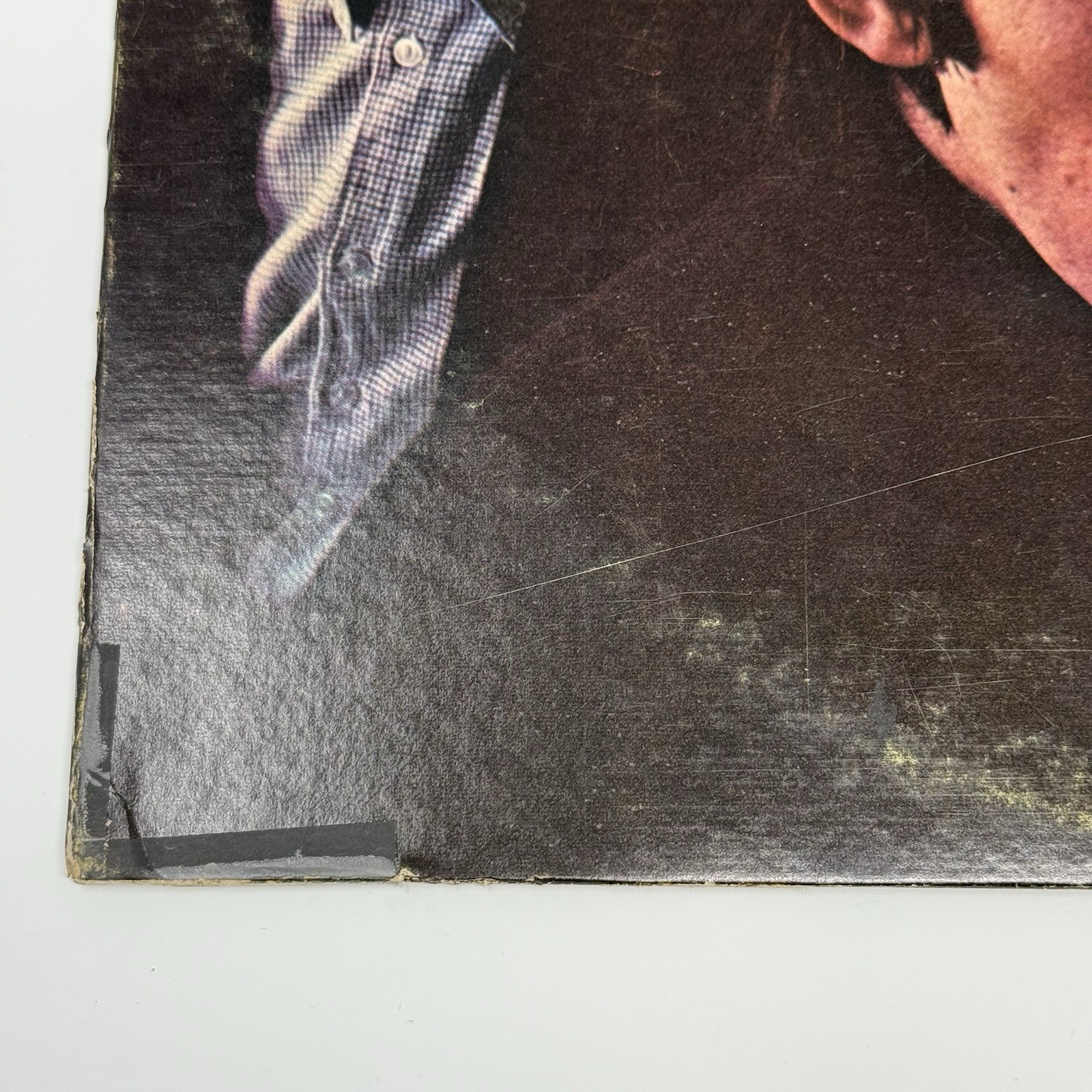 Picture 6 of 19