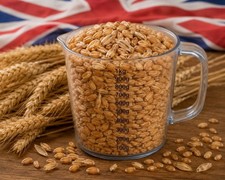 Hard White /Hard  Red  Wheat Like UK Local Grown Wheat 4kg