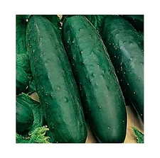 50 Marketmore 76 Cucumber Seeds | Non-GMO | Heirloom | Instant Latch Garden S...