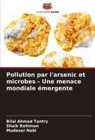 Bilal Ahmad Tantry (U. A.) | Pollution Par L'arsenic Et Microbes - Une Menace...