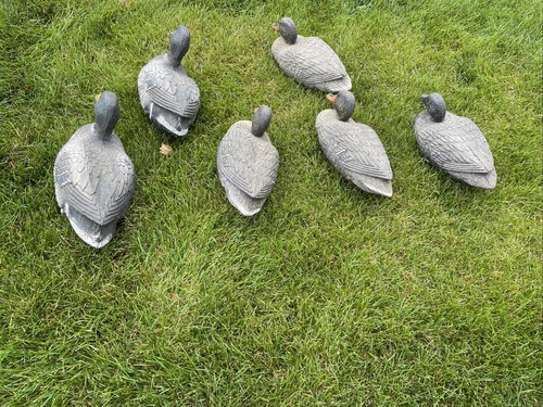 Lot Of 6 Carry Lite Plastic Duck Decoys Italy Blackduck Vintage Mallard Hen - Picture 4 of 11