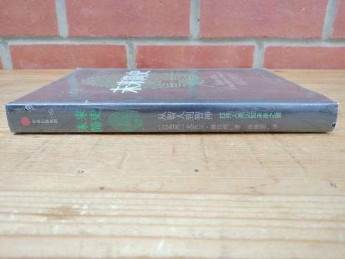 Homo Deus A Brief History of Tomorrow Yuval Noah Hara NEW SEALED Chinese Edition - Picture 4 of 6