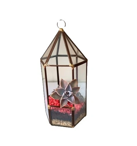 Jarrones de Terrario de metal