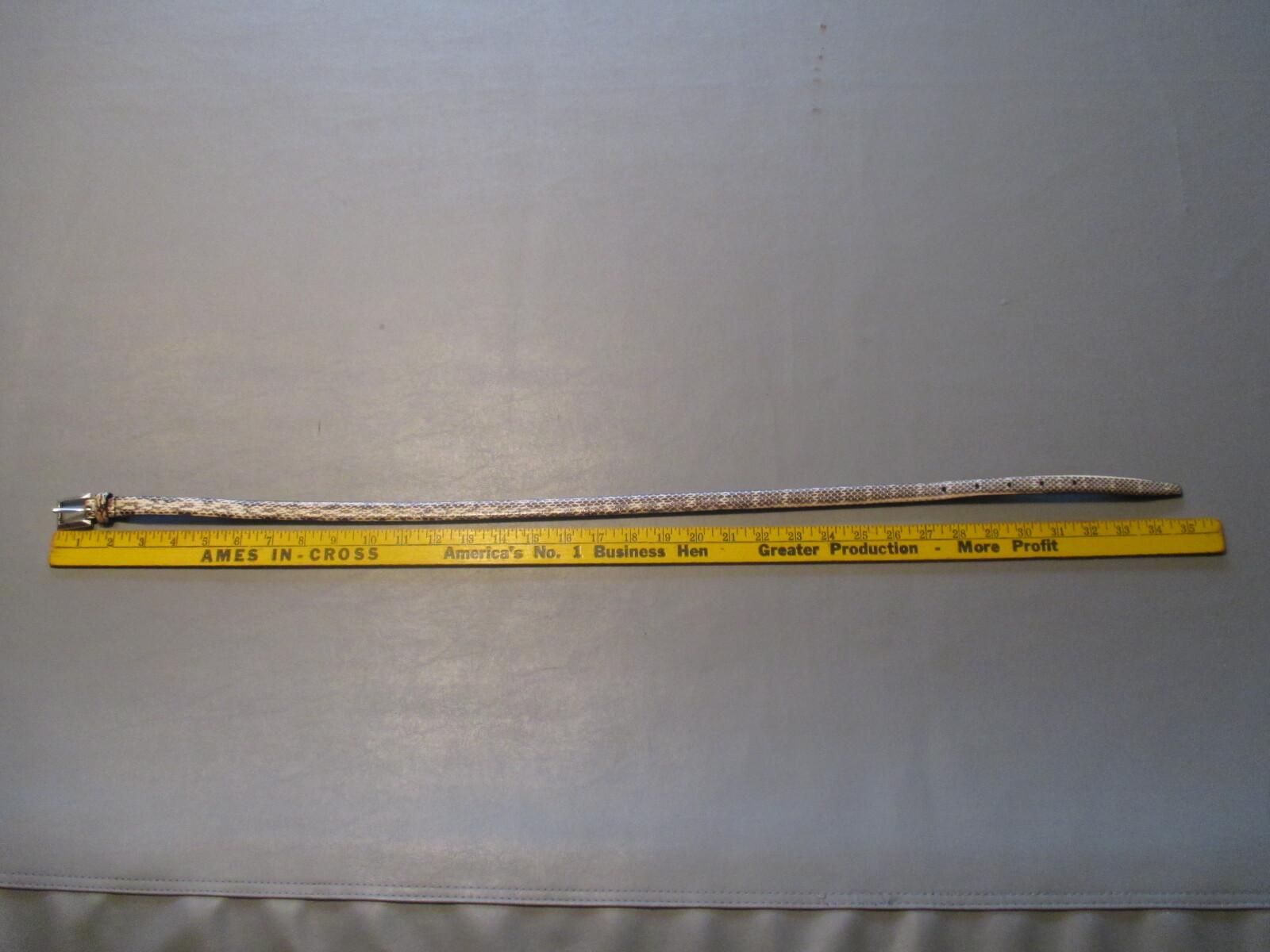 Picture 10 of 10