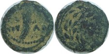 15-26 AD Judaea Valerius Gratus Roman Prefect Under Tiberius Palm Frond Prutah