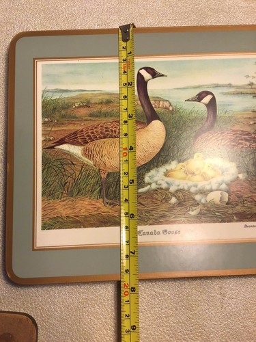 VTG.Pimpernel Acrylic Cork 2 place mats & 2 hot pan mats from England WaterBirds - Picture 8 of 12