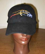 TRUCK-LITE neon embroidery baseball hat semi-truck cap safety lighting OG