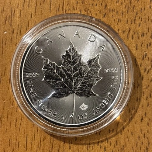 2019 Canadian Silver Maple Leaf 1 oz — photo from the most recent tracked eBay sale