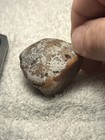 Polished Tumbled Stone Specimen - Brown & White Rock Mineral Specimen — photo 3