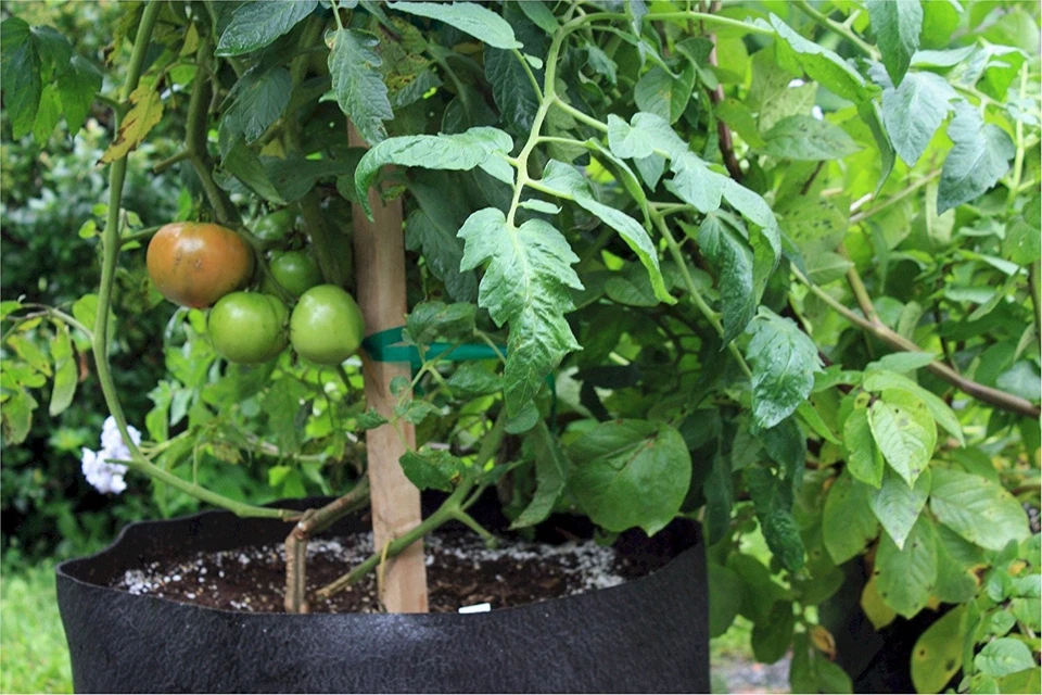 Контейнер мягкий Smart Pots 800 галлонов, черный - Изображение 2 из 4