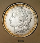 1886 Morgan Silver Dollar ✨ Golden Rim Toning • Sharp Strike • Nice Eye Appeal