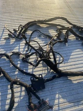 Engine Wire Harness
