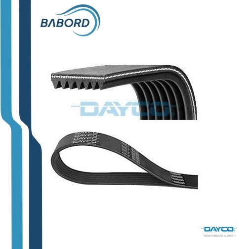 Correa Poly-V 7PK1035 DAYCO Para RENAULT BMW - Imagen 2