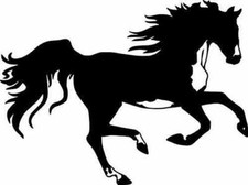 Wild Horse Running Beauty Horses Art Wall Car Truck Window Vinyl Sticker Decal