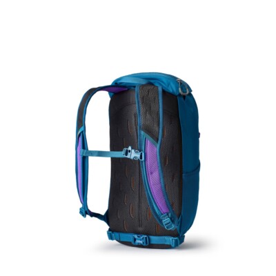 Gregory Nano 16 Backpack - Icon Teal | eBay