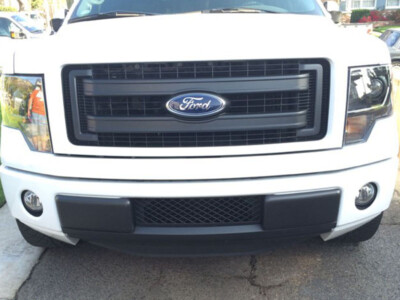 2009-2014 Ford F-150 Black Lower Bumper Grille OEM Quality ABS Like Upper Grille
