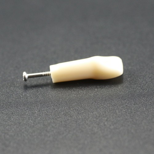 Para Kilgore Nissin 200 Dental Typodont Modelo Dientes Individuales Atornillable 10 un./paquete - Imagen 49 de 93