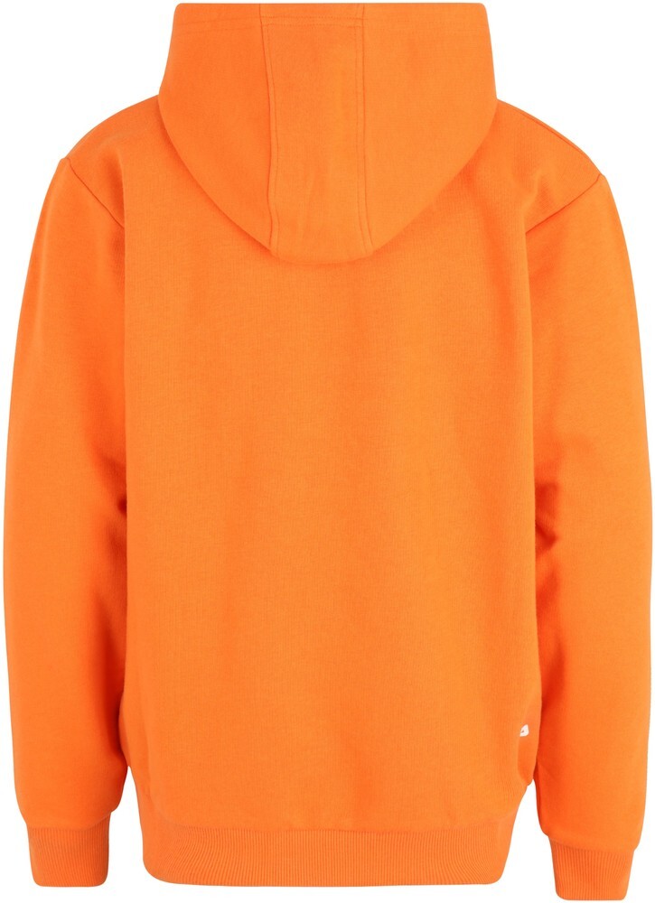 Felpa con cappuccio unisex Fila Teens sabbia logo classico felpa con cappuccio Celosia arancione