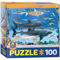 Sharks 100 Pieces Eurographics Kids 5+ | Spiel | Englisch | 2022 | Eurographics