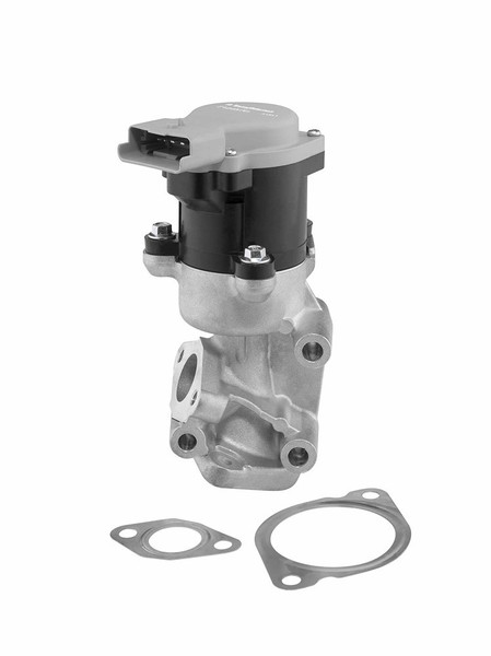 Borgwarner (Wahler) Agr-Ventil Hinten, Links, Vorne U.A. FüR CitroËN, Jaguar-image